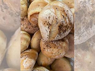 festa-di-san-martino-tra-storia-fede-leggende-e-tradizioni