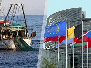 pesca-feamp-nuovo-accordo-a-bruxelles-61-miliardi-di-euro-per-i-prossimi-7-anni