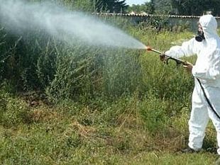 erice-secondo-servizio-di-disinfestazione