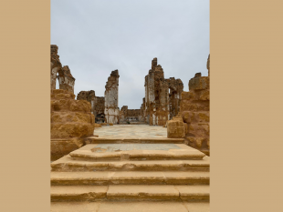 belice-artbook-festival-il-18-e-19-maggio-a-montevago-e-campobello-di-mazara