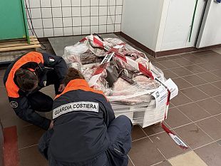 mazara-sequestrati-dalla-capitaneria-di-porto-oltre-750-kg-di-prodotti-ittici-irregolari