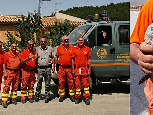 salvato-falco-grillaio-ferito