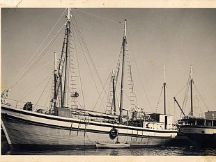 ultime-della-sera-cose-scritte-sul-dragaggio-del-fiume-mazaro