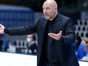 trapani-shark-diana-in-pole-ma-ce-lidea