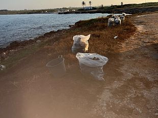 petrosino-costa-piu-pulita-ambiente-piu-tutelato-il-comune-investe-nella-pulizia-delle-spiagge-e-del-litorale
