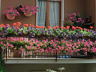 prima-edizione-di-balconi-fioriti-a-campobello-un-concorso-a-premi-per-dare-piu-colore-alla-citta-e-alle-frazioni