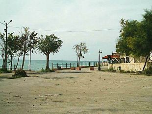 ciclista-mazarese-aggredito-da-un-cane-randagio-a-torretta-granitola-e-ricorso-alle-cure-del-pronto-soccorso