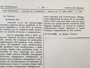fermo-biologico-giorgio-randazzo-odg-alla-camera-per-la-riammissione