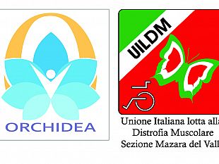 al-via-il-bando-per-i-100-destinatari-di-progetto-orchidea-organizzare-e-rigenerare-contrastando-gli-handicap-e-includendo-i-disabili-ed-anziani