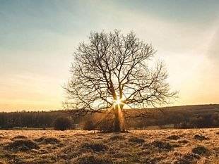e-poi-capire-che-quando-non-ascoltiamo-il-cuore-stiamo-sbagliando