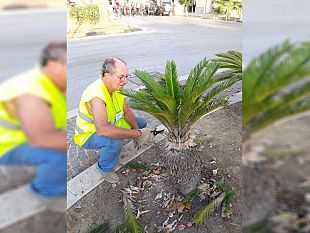 trapani-i-soci-di-erythros-puliscono-le-aiuole-di-piazza-martiri-dungheria