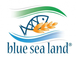 call-for-artists-blue-sea-land-2023