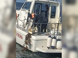 trapani/la-capitaneria-di-trapani-in-prima-linea-per-la-tutela-dellambiente-marino-denunciati-5-pescatori-abusivi