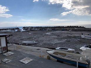 marinella-di-selinunte-domani-la-caratterizazione-della-posidonia-da-rimuovere-dal-porticciolo