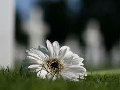 marsala-commemorazione-dei-defunti-orario-continuato-per-le-visite