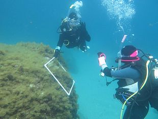 si-conclude-alle-egadi-il-secondo-corso-teorico-pratico