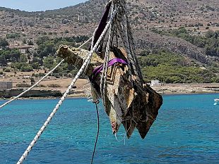 levanzo-recuperato-un-rostro-scoperto-da-sebastiano-tusa