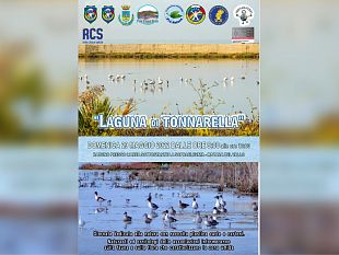 giornata-di-sensibilizzazione-allambiente-a-cura-di-giva