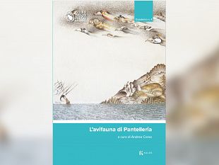 lavifauna-di-pantelleria-nelle-librerie-il-quarto-volume-dei-quaderni-del-parco