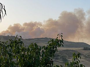 bosco-scorace-e-di-nuovo-in-fiamme