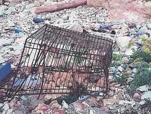 il-mare-come-bene-comune-la-segnalazione-di-un-giovane