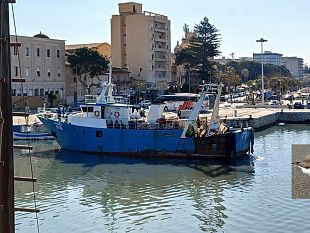 dragaggio-porto-canale-anche-il-sindaco-quinci-come-il-predecessore-cristaldi-colpito-dalla-maledizione-del-fratino