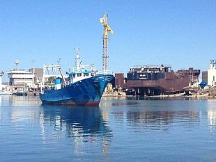 mazara-appello-del-coordinamento-all-unita-per-le-problematiche-relative-al-porto