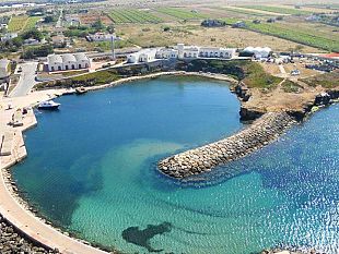 mazara-cnr-avvio-di-un-attivita-di-ricerca-finalizzata-alla-valutazione-dello-stato-di-salubrita-delle-risorse-del-comparto-ittico-siciliano-studio-pilota