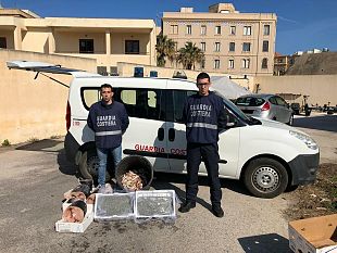 la-guardia-costiera-sequestra-341-kg-di-prodotti-ittici