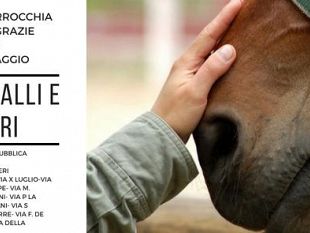 petrosino-festa-per-maria-ss-delle-grazie-ecco-gli-appuntamenti-del-weekend