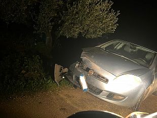 cinghiali-distruggono-una-vettura-ferito-un-infermiere-castelvetranese-chi-paga