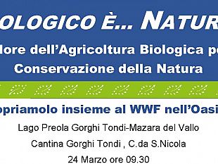 biologico-e-natura-evento-presso-riserva-laghi-preola-e-gorghi-tondi