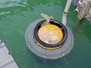 un-cestino-per-il-mare-installato-a-castellammare