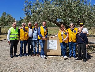 il-lions-club-di-castelvetrano-ha-provveduto-alla-pulizia-della-piazzetta-melvin-jones