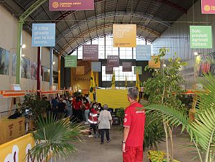 venerdi-e-domenica-vaccinazioni-al-mercato-campagna-amica-di-marsala