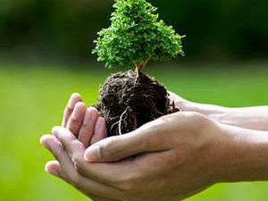 mazara-domani-la-terza-edizione-della-manifestazione-adotta-una-pianta