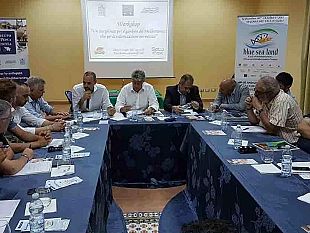 far-sistema-e-creare-un-marchio-di-qualita-strumenti-indispensabili-per-la-valorizzazione-nei-mercati-del-gambero-del-mediterraneo