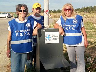 collocati-dallenpa-due-distributori-di-croccantini-per-cani-randagi