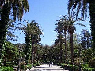 trapani-moderna-tranchida-animali-in-gabbia-incoerenti-con-questo-ideale