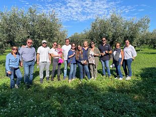 castelvetrano-ha-partecipato-alla-ix-edizione-della-camminata-tra-gli-olivi-coltiviamo-la-pace