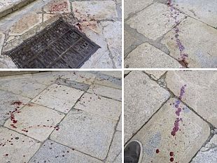 marsala-mistero-risolto-le-chiazze-di-sangue-non-erano-unaggressione-ma-un-incidente-fortuito