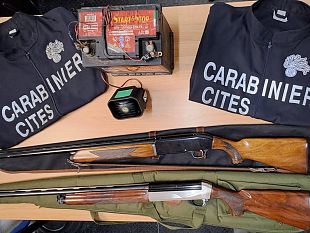trapani/contrasto-al-bracconaggio-carabinieri-forestali-a-tutela-della-fauna-selvatica
