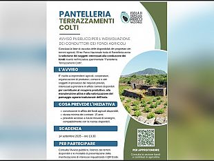 pantelleria-terrazzamenti-colti-avviso-pubblico-per-lindividuazione-dei-conduttori