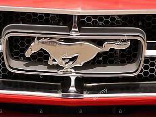 ultime-della-sera-mustang