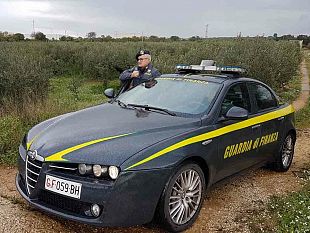 tra-mazara-e-castelvetrano-guardia-di-finanza-sanziona-e-denuncia-per-lavoro-irregolare-in-agricoltura