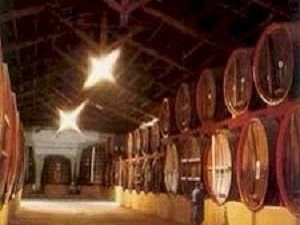 il-consorzio-doc-sicilia-investira-ancora-in-pubblicita-negli-usa-1-6-milioni-di-euro