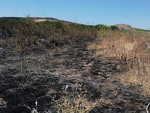 salemi-a-fuoco-contrada-torretta-vigili-del-fuoco-impegnati-per-ore