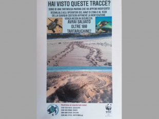 menfi-nidificazione-tartarughe-caretta-caretta