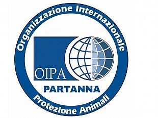 caldo-torrido-come-tutelare-gli-animali-il-vademecum-lanciato-da-oipa-partanna