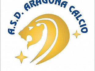 caos-promozione-laragona-sfida-la-lega-non-ci-presenteremo-alleventuale-spareggio-contro-lalcamo